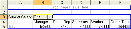 Pivot Table result with the salary field in the data area and the Title field in the Column area