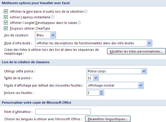 Excel 2007 : OPtions standard