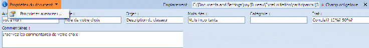 Excel 2007 : Propriétés du workbook