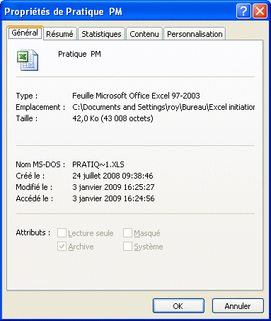 Excel 2007: Propriétés avancées du workbook