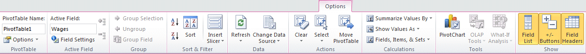 Excel 2010 - PivotTable - Options Tab