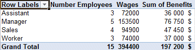 Excel 2010 - PivotTable - Result with the Benefits field