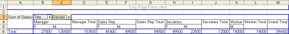 Pivot table result with the Title field placed before the Gender field