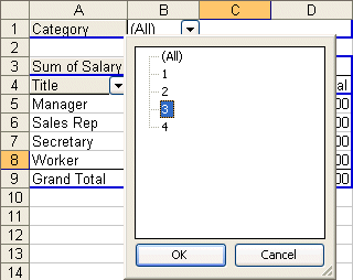 You can filter by placing field in the Page area .